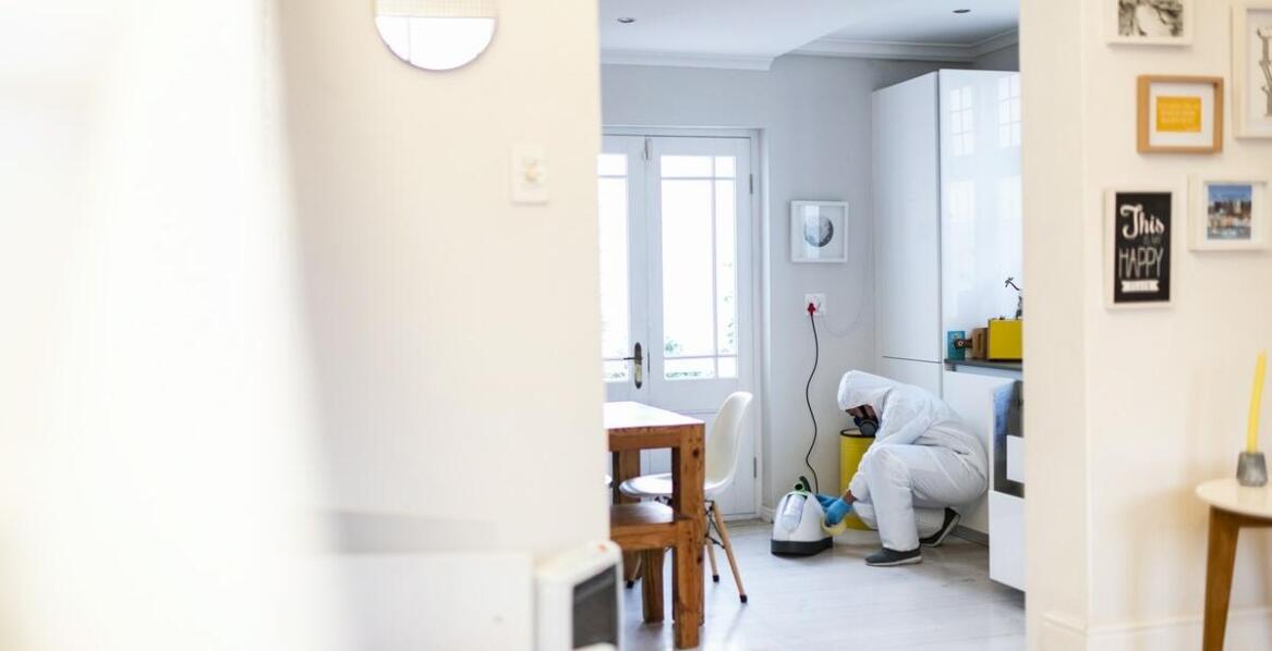 Czyszczenie systemów wentylacyjnych a ochrona przed pleśnią i grzybami