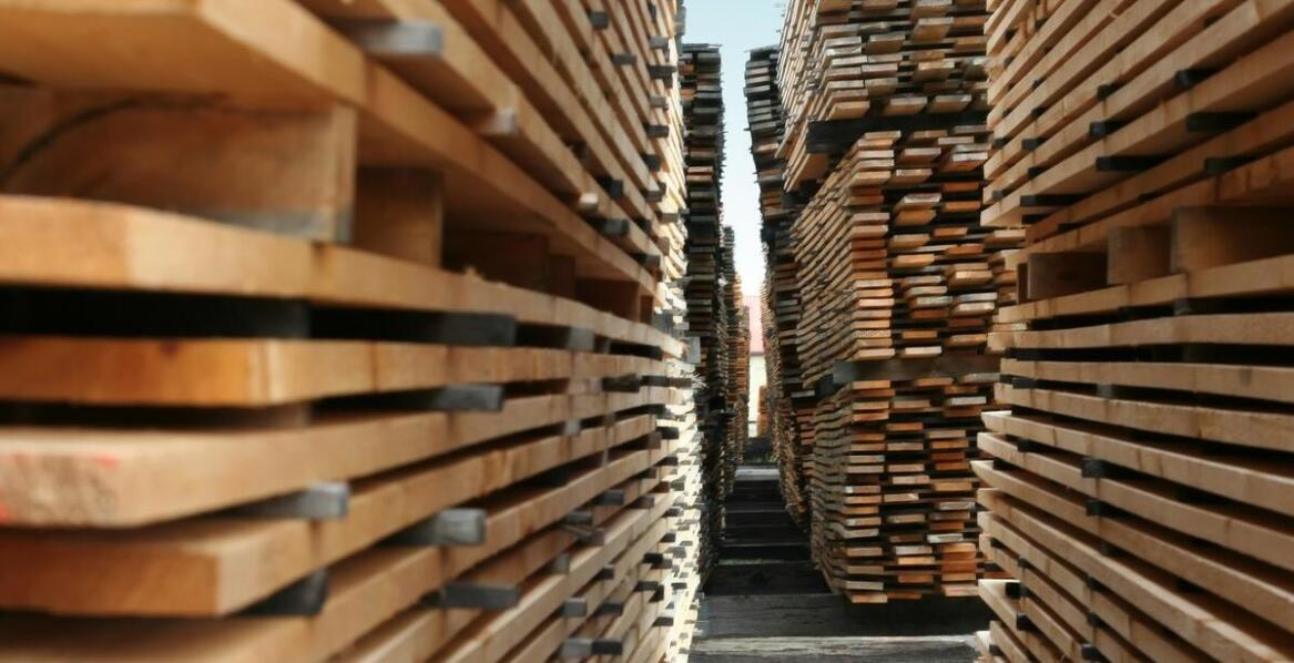 Wybór idealnej tarcicy – na co zwrócić uwagę przy zakupie?