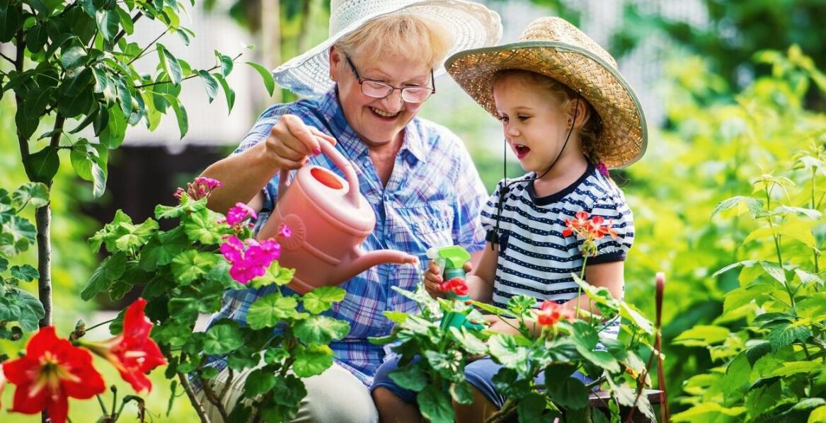 Jak ogródki przy domach jednorodzinnych wpływają na jakość życia mieszkańców?