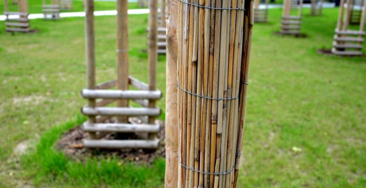 Rola kotwy w projektach architektury ogrodowej