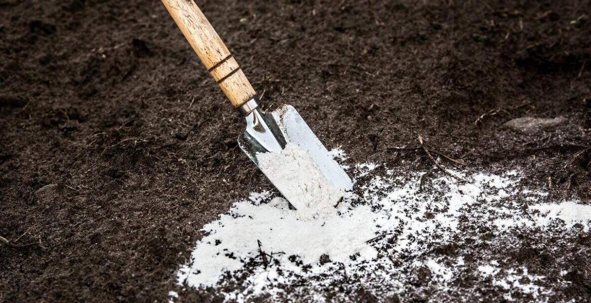 Redukcja kwaśnych deszczów dzięki mączce wapiennej – skuteczne rozwiązania