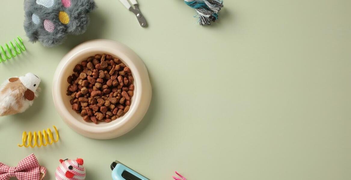 Jak różnorodność smaków w polskiej karmie przyciąga koty i psy?