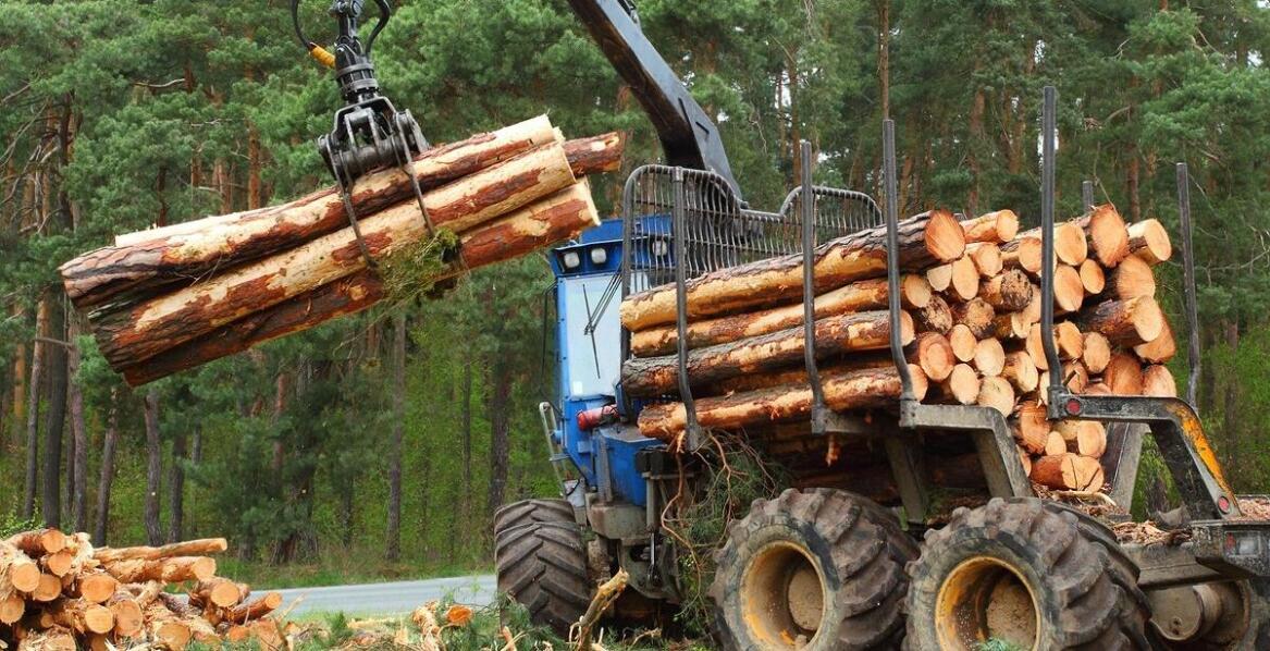 Jak chwytak do kłód wpływa na efektywność pracy w leśnictwie?