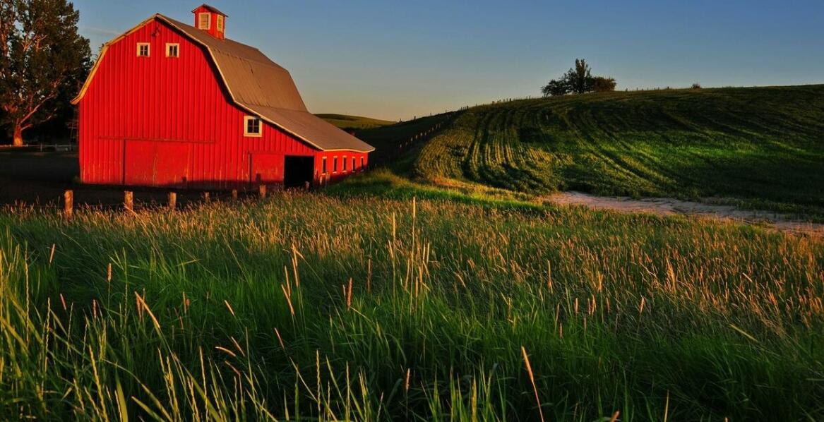 Jak hale stalowe wspierają ekologiczne praktyki w hodowli bydła?