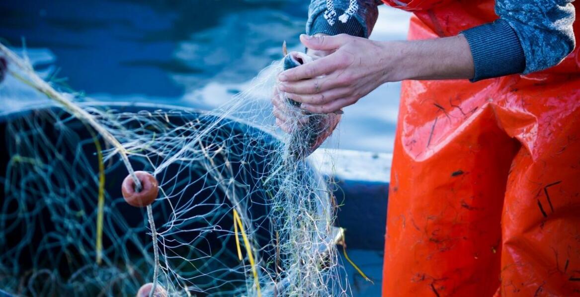 Nowoczesne technologie w produkcji sieci rybackich – jak wpływają na jakość?