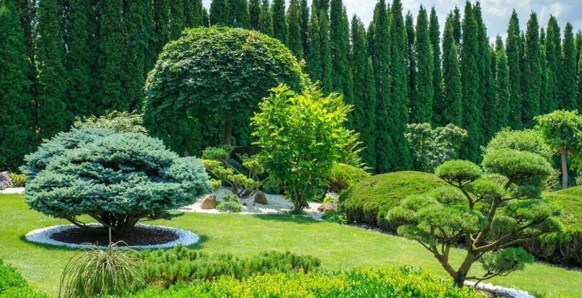 Jak planować przestrzeń wokół rezydencji: Ogrody i tereny rekreacyjne