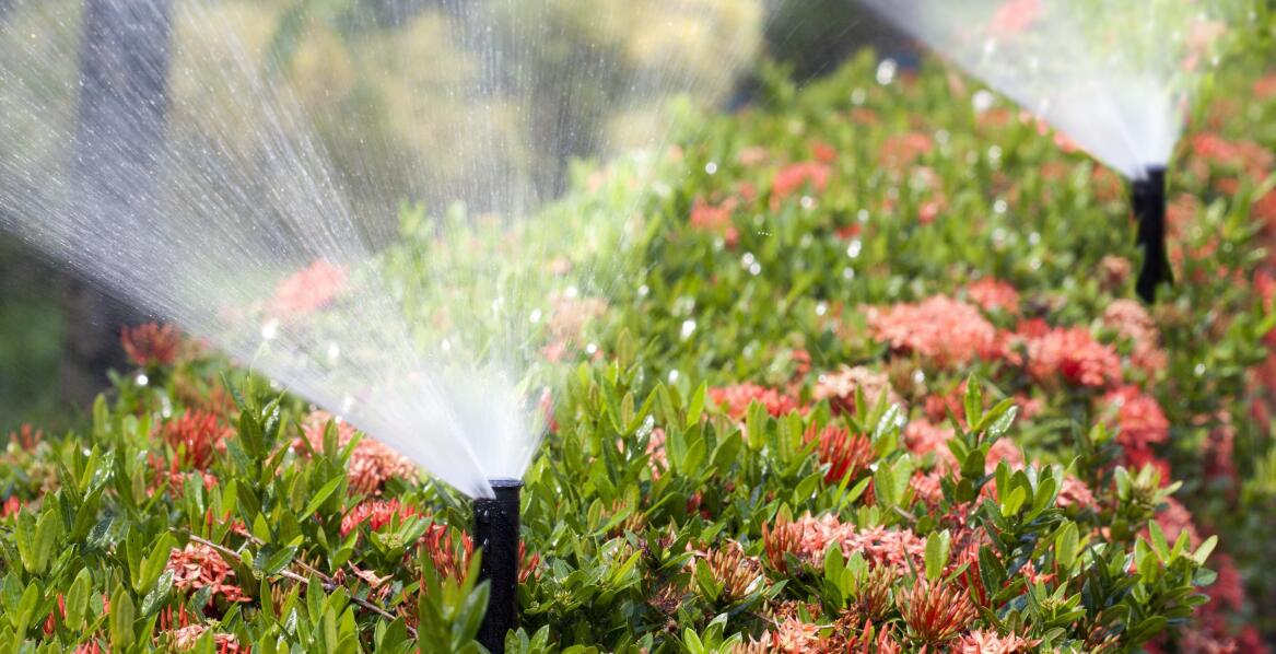 Jak systemy nawadniania wspierają rozwój ogrodów wertykalnych?