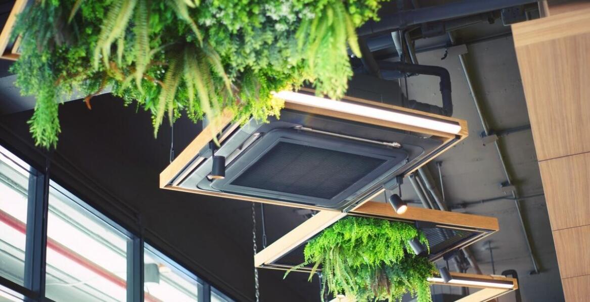 Znaczenie filtrów z węglem aktywnym w eliminacji zapachów w hotelach