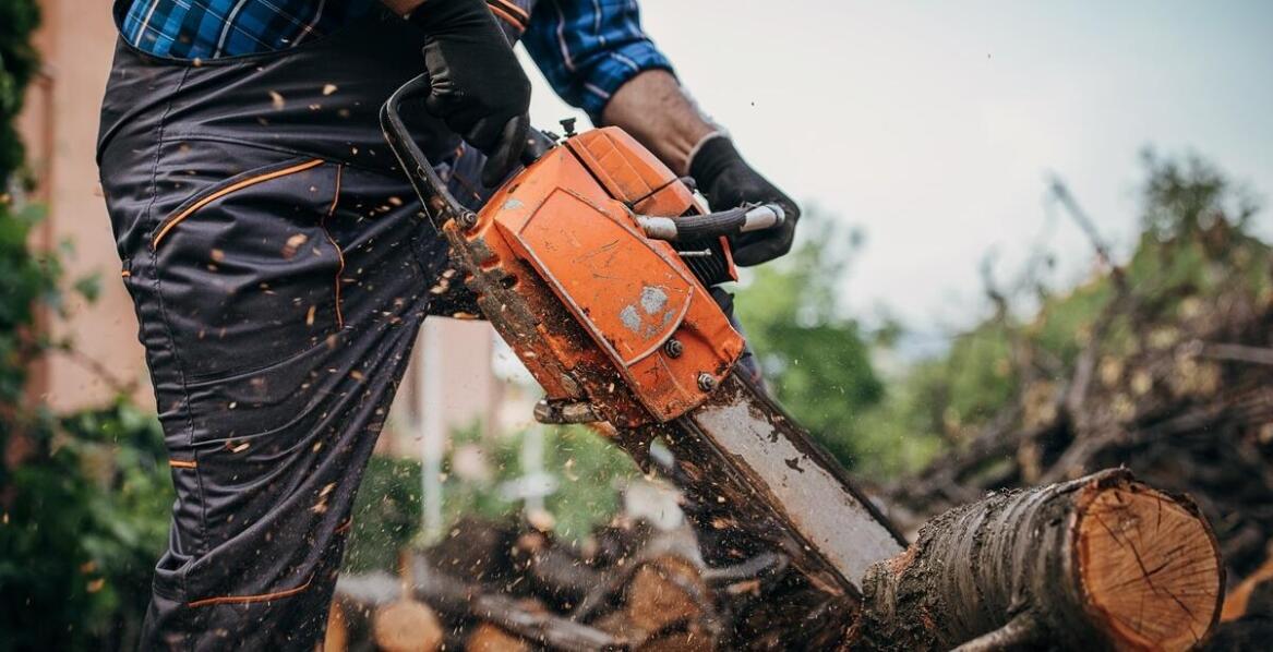 Wypożyczalnia pił spalinowych – jakie są dostępne opcje umów?