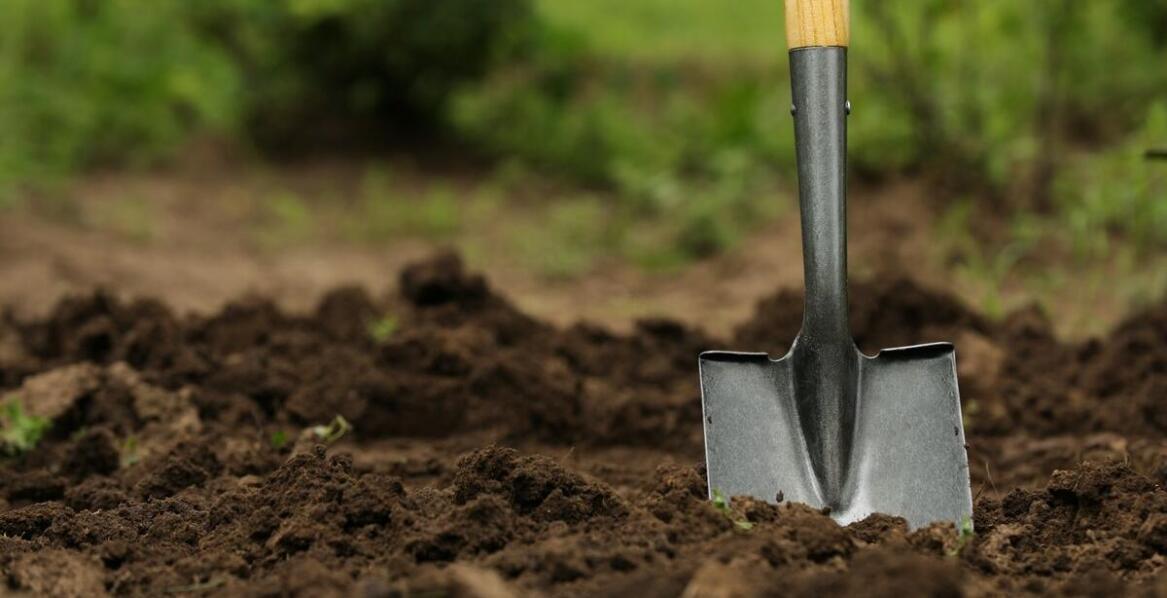 Optymalizacja pracy w ogrodzie dzięki karczownicy Orec