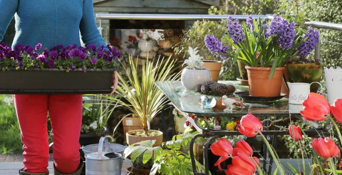 Personalizacja doniczek z deski kompozytowej dla unikalnych aranżacji ogrodowych