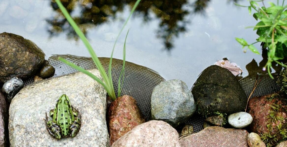 Dlaczego laminaty poliestrowo-szklane są idealnym materiałem na oczka wodne?