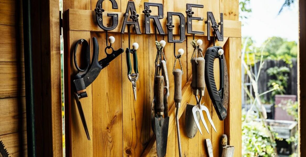 Ekspert radzi: jak projektować tereny zielone z pomocą centrum ogrodniczego?