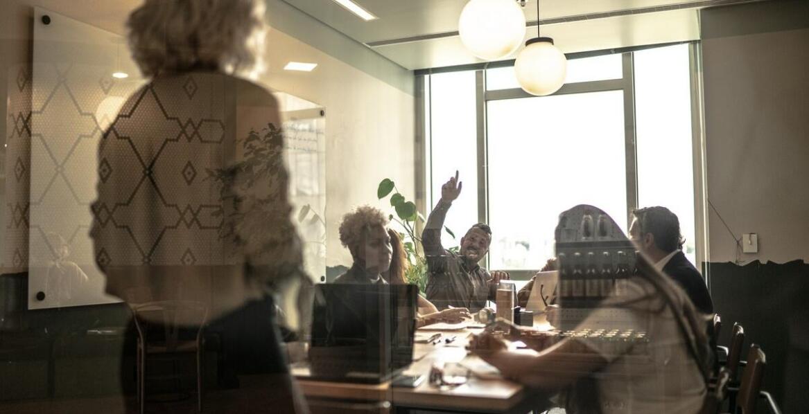 Praca przy pieczarkach w Holandii: jakie są możliwości rozwoju zawodowego?