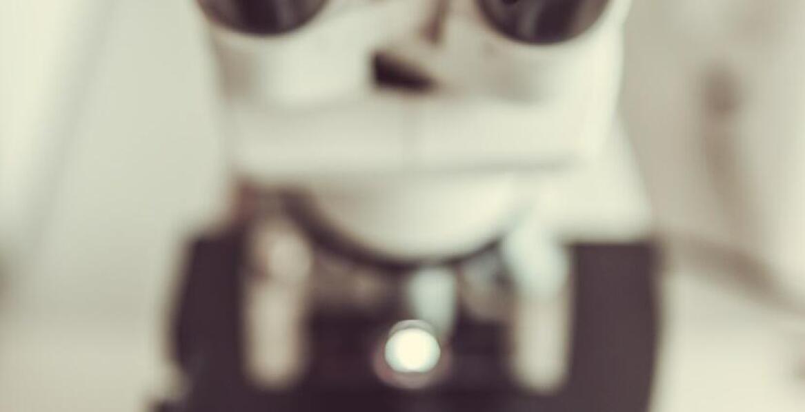 Mikroskop świetlny a cyfrowe narzędzia pomiarowe – jak współpracują?