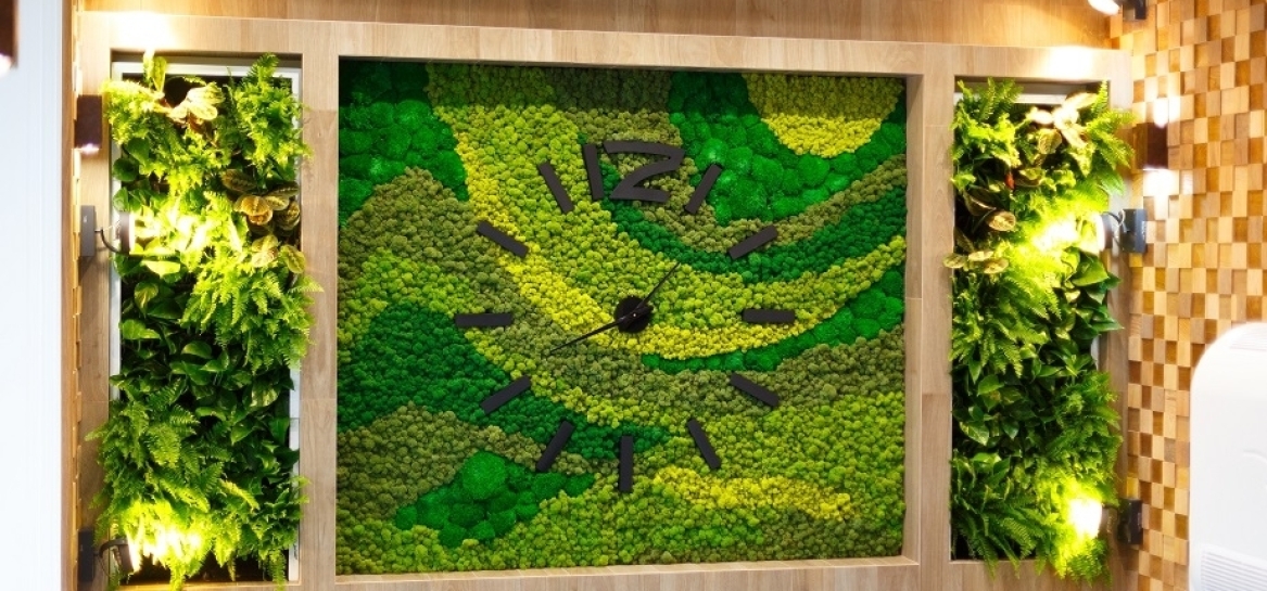 Jak oświetlenie LED wspiera wzrost roślin w ogrodach wertykalnych na ścianie?