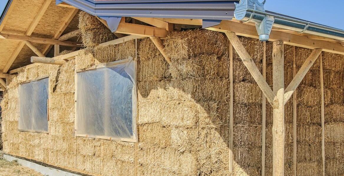 Ekonomiczne ściółki dla koni a poprawa warunków zdrowotnych zwierząt