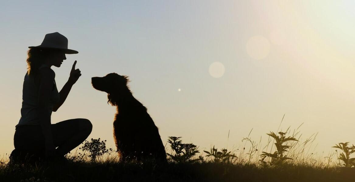 Rola zaufania między psem a przewodnikiem w szkoleniu obronnym
