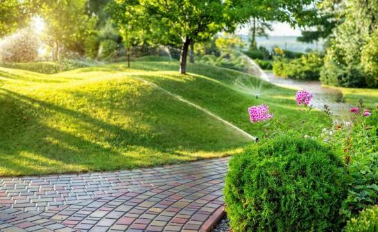 Jak nawadnianie automatyczne wpływa na zdrowie i wzrost roślin?