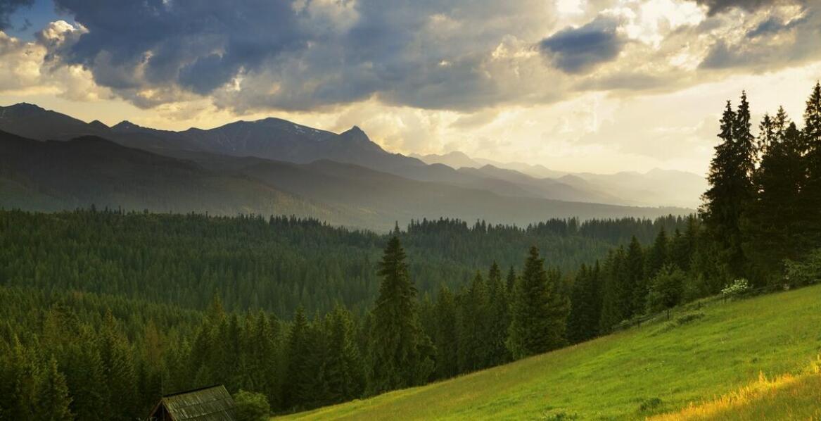 Efektywność inwentaryzacji przyrodniczych w planowaniu ochrony środowiska