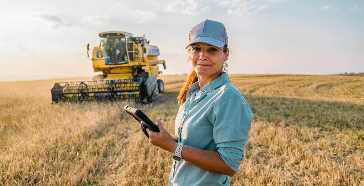 Skup rzepaku - jak zapewnić najwyższą jakość ziarna?