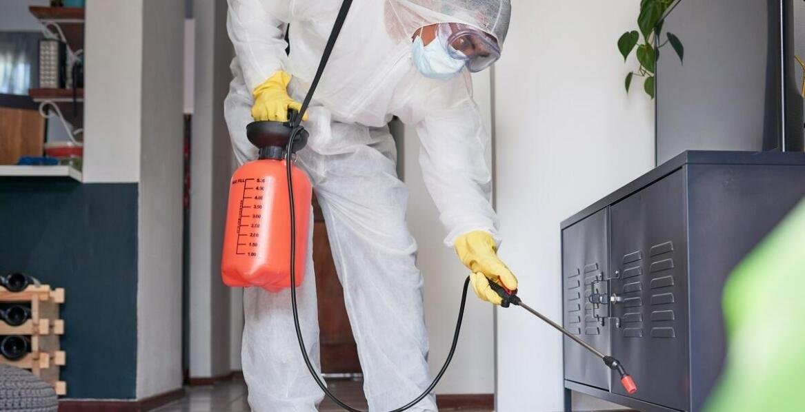 Dlaczego warto zlecić deratyzację profesjonalistom?