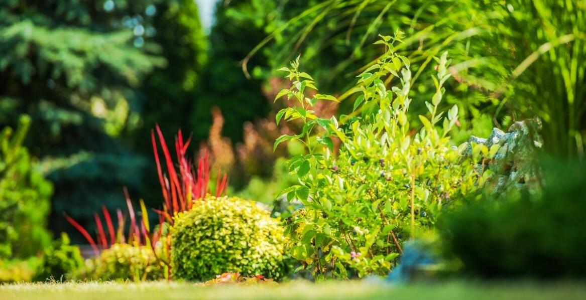 Folie ogrodnicze w optymalizacji upraw i ochrony plonów