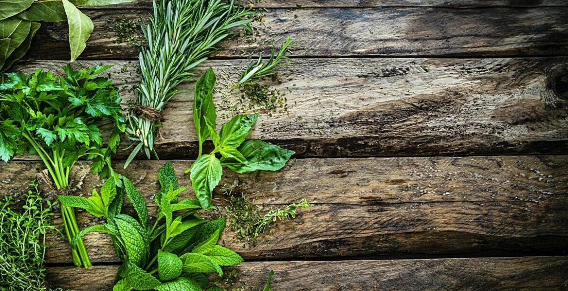 Zioła na odporność: Jakie produkty znajdziesz w zielarskim sklepie internetowym?