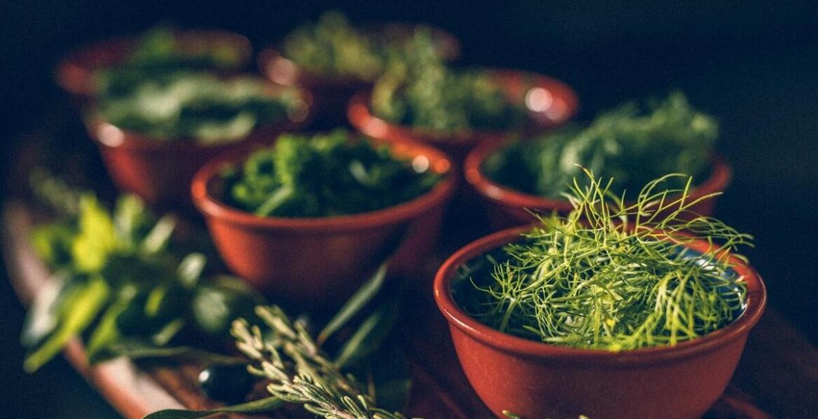 Zioła sklep internetowy: Wybór najlepszych herbat na odporność