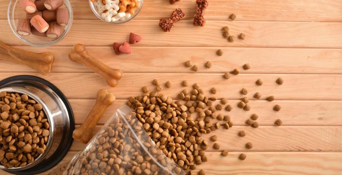 Znaczenie niskoglikemicznych składników w karmie orijen dla zdrowia psa