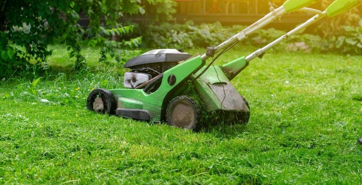 Koszenie trawy a ochrona środowiska – jak to pogodzić?