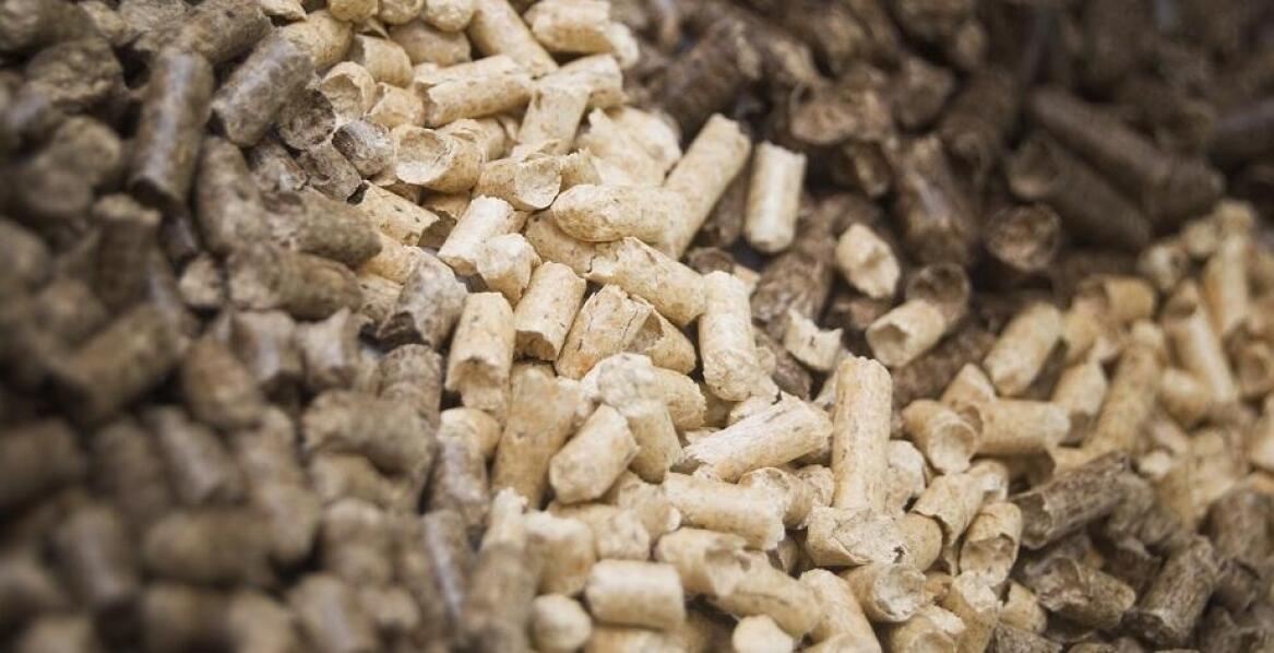 Różnice w efektywności pelletu do metody 2 mm w różnych warunkach wodnych