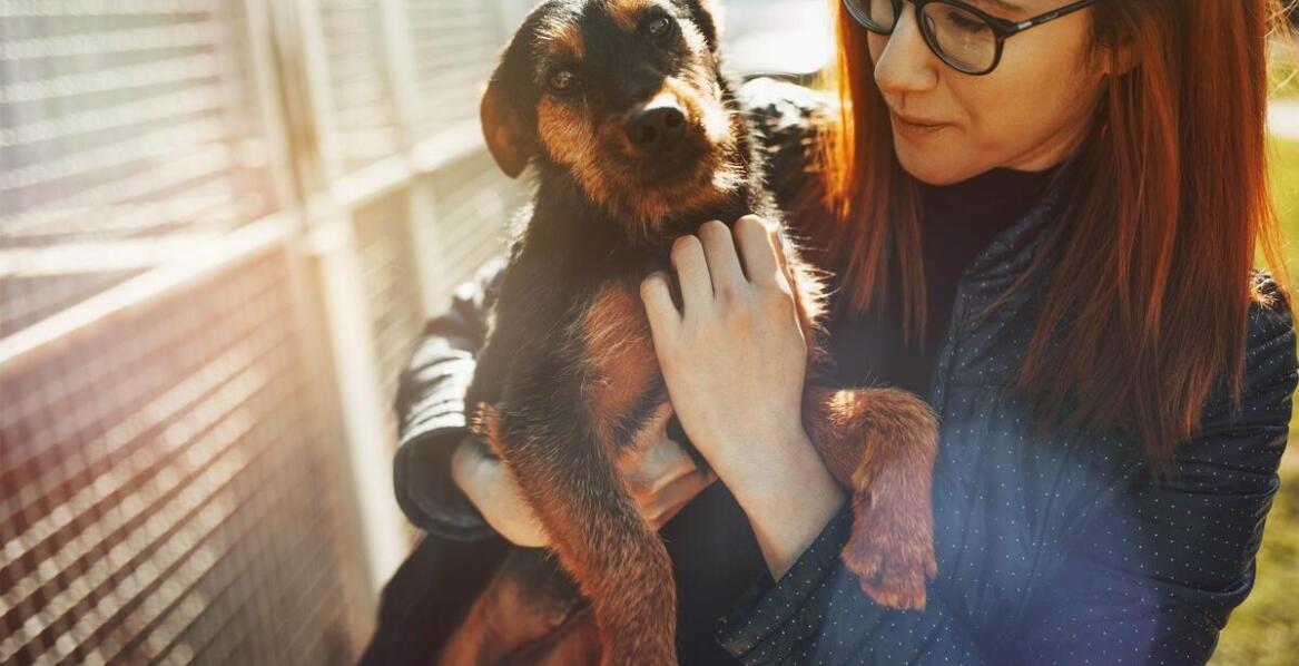 Znaczenie edukacji społeczeństwa w przeciwdziałaniu bezdomności zwierząt