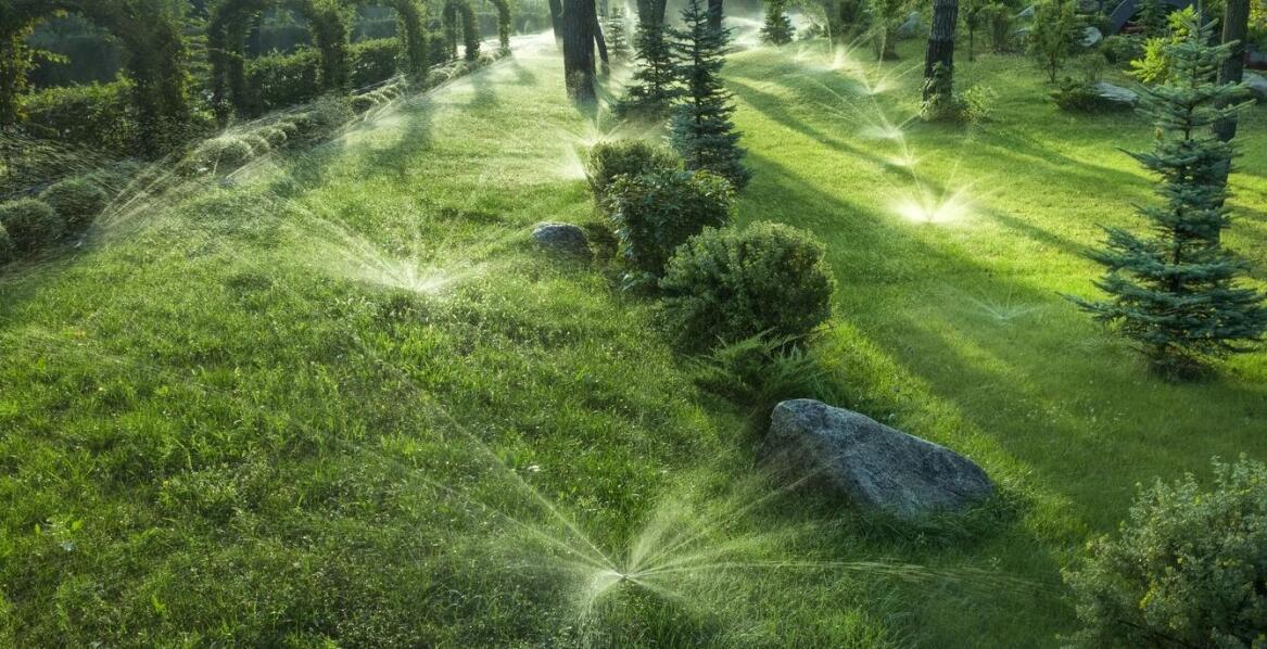 Wybór odpowiedniego zestawu do nawadniania ogrodu – na co zwrócić uwagę?