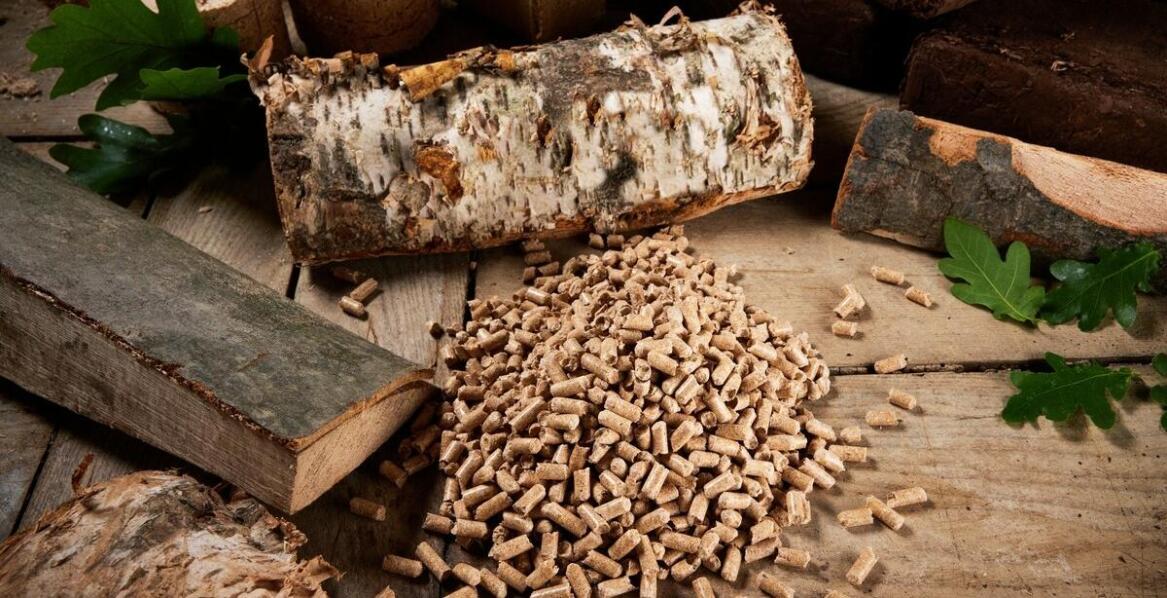 Jak wykwalifikowany personel pomaga w wyborze odpowiedniego opału?