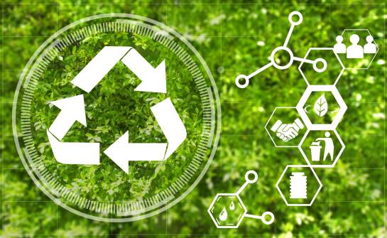 Innowacyjne podejścia do zarządzania odpadami zielonymi w mieście