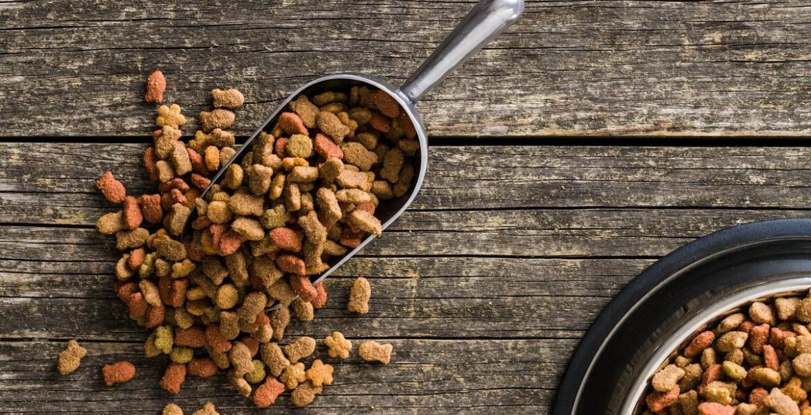 Dlaczego warto wprowadzić kurze łapki do diety psa? Główne zalety i wartości odżywcze