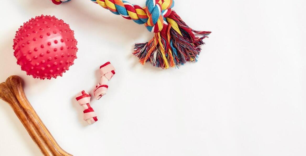 Przysmaki dla szczeniaka – jakie korzyści przynoszą w treningu?