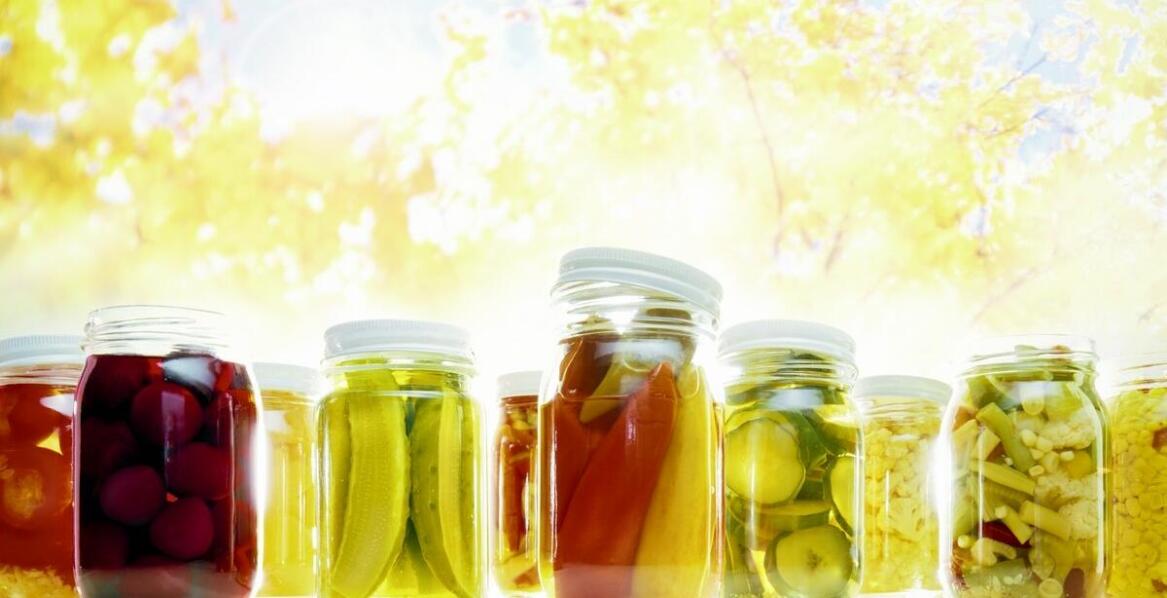 Kuvings Polska: Jakie są kluczowe korzyści zdrowotne z używania fermentatorów domowych