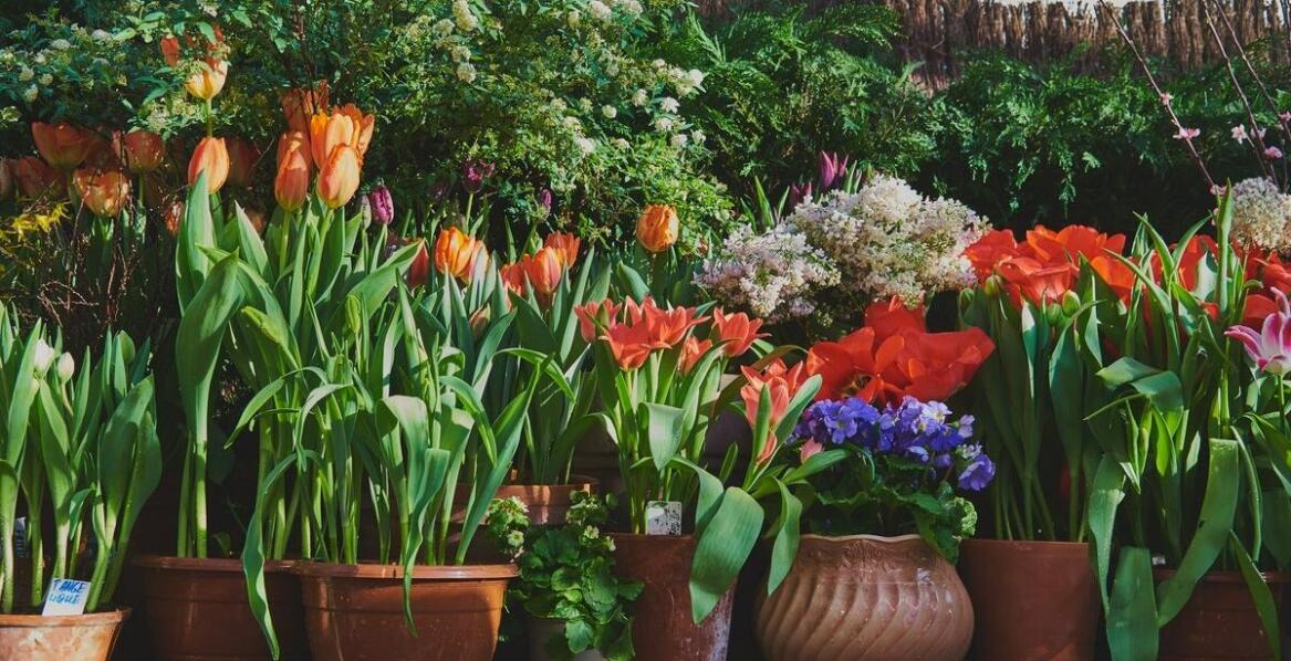 Donica kwadratowa 60x60 – jakie materiały są najlepsze do jej produkcji?