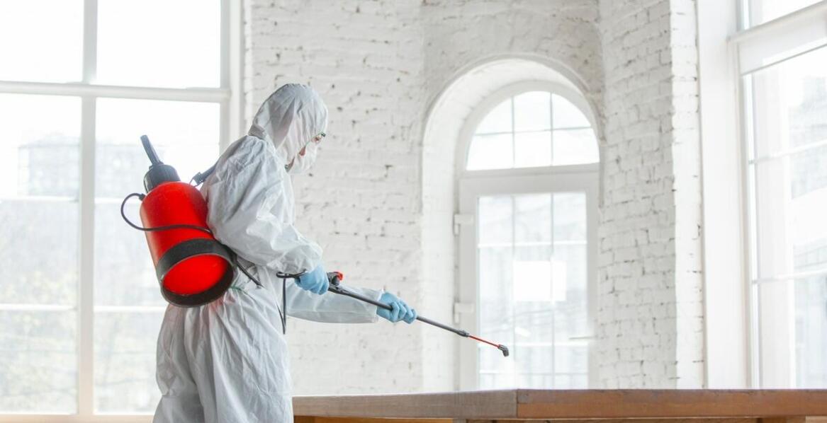 Jakie są etapy procesu fumigacji drewna i czego można się spodziewać?