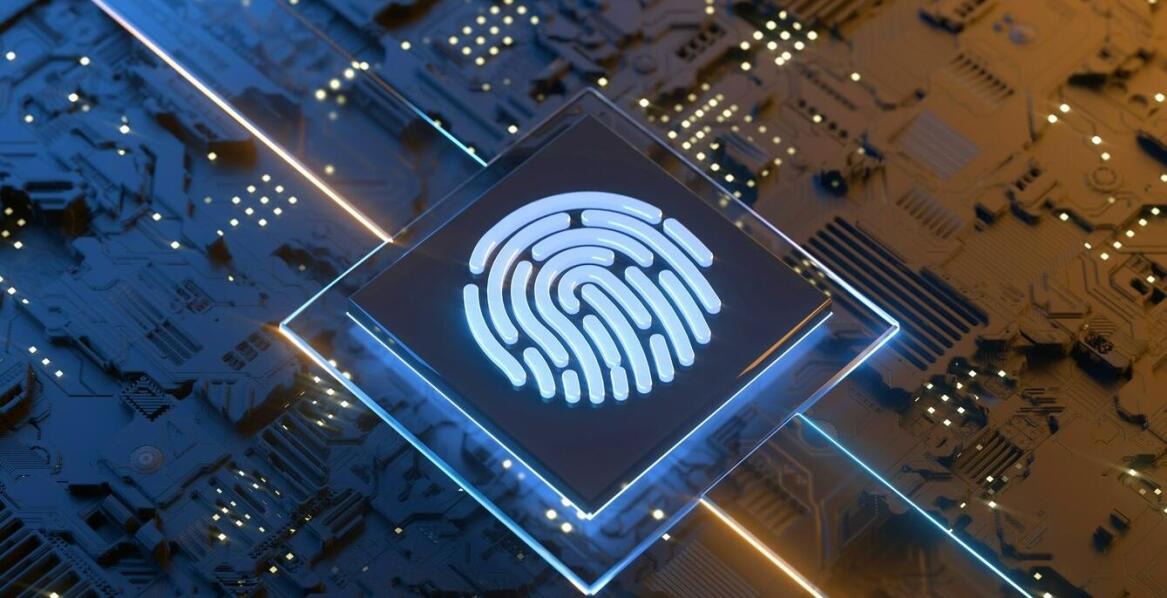 Jak prawo autorskie wpływa na ochronę marki w sieci?