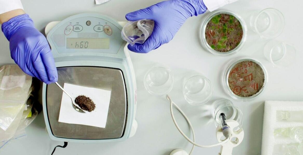 Oszczędność czy ryzyko? Dlaczego nie warto zaniedbywać legalizacji wag