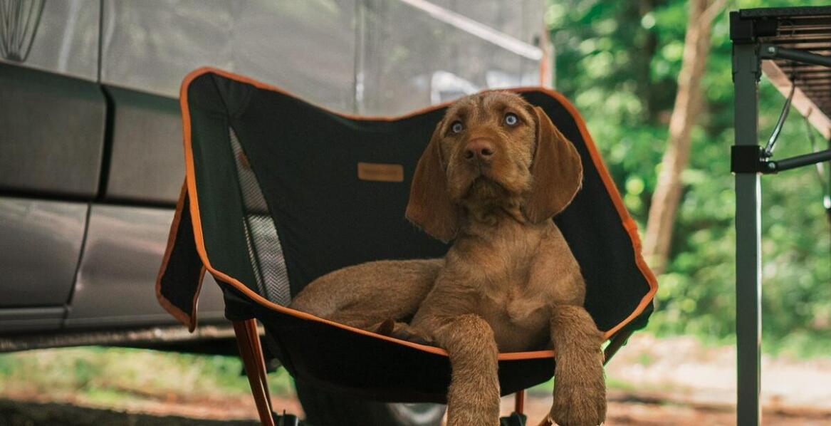 Jakie akcesoria można zamontować na fotelach wędkarskich?