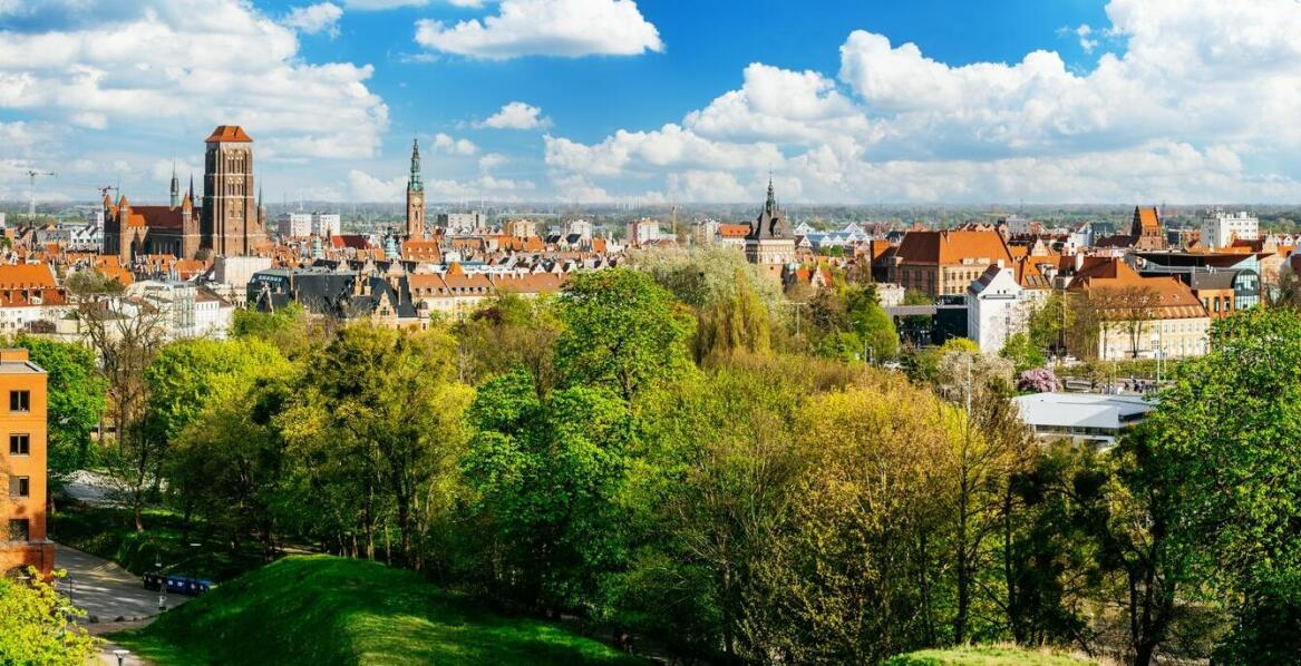 Dlaczego Gniezno i Biskupin to doskonałe miejsca na wycieczki szkolne?