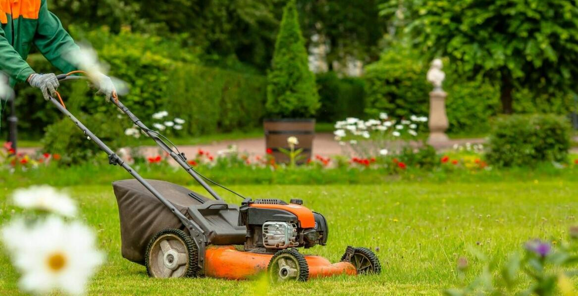 Czy każdy typ trawnika wymaga wertykulacji?