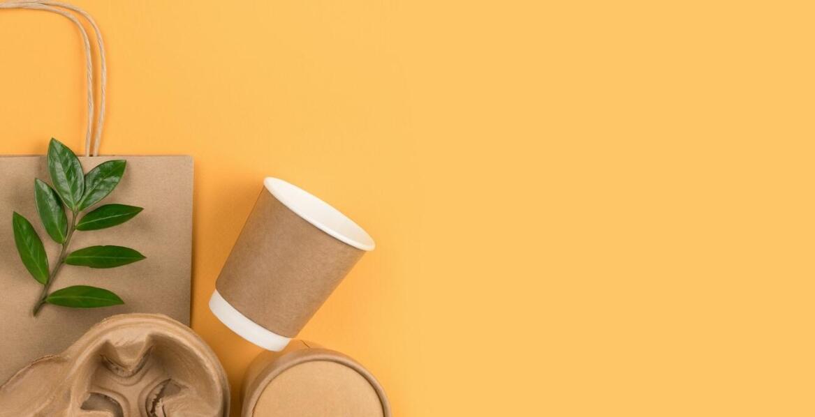 Zalety ekologicznych pudełek na frytki w gastronomii na wynos