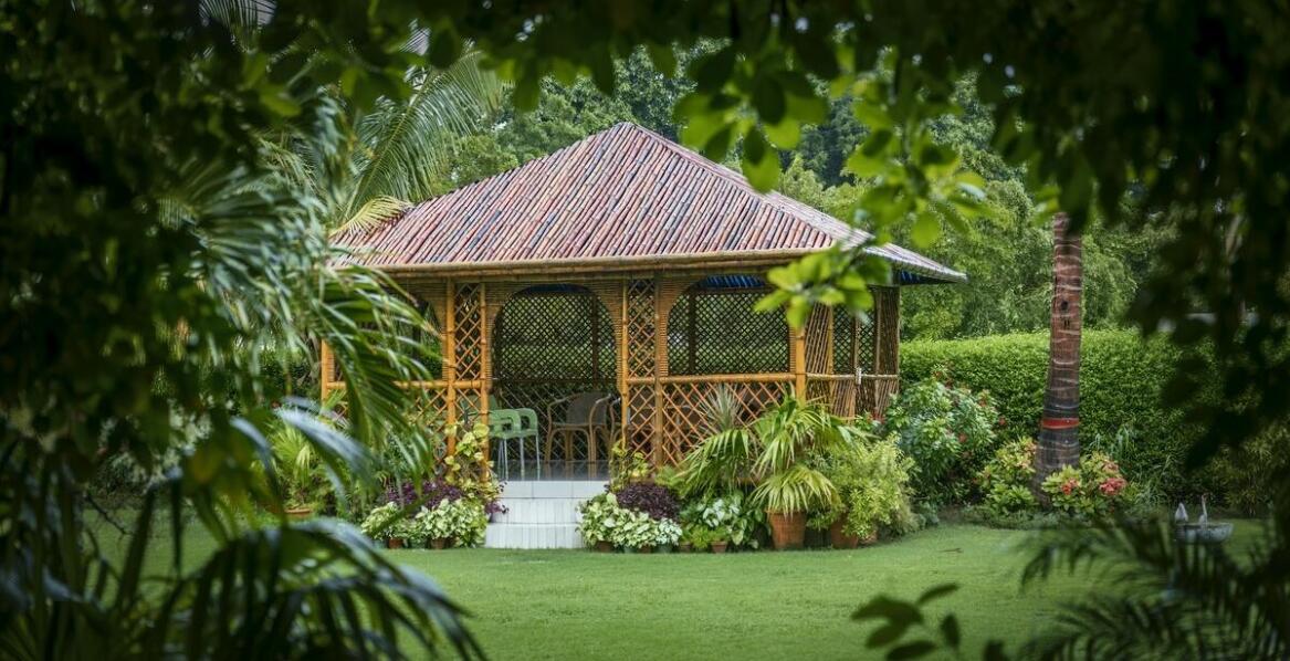 Zalety drewnianych wiat w przestrzeni przydomowej