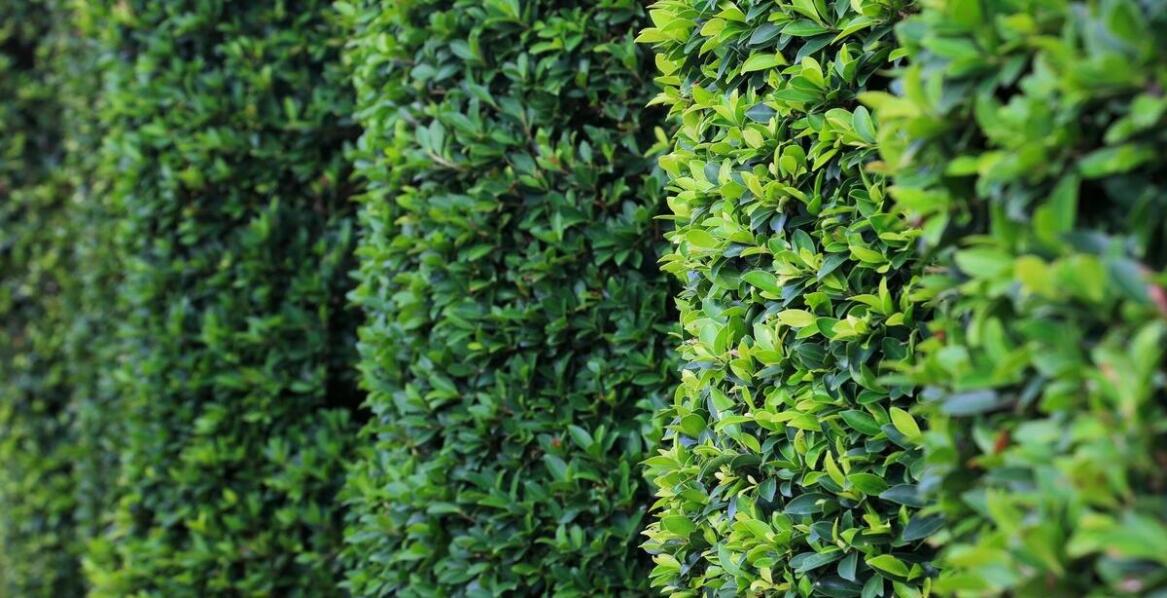 Jakie są ekologiczne aspekty wyboru sztachet metalowych?