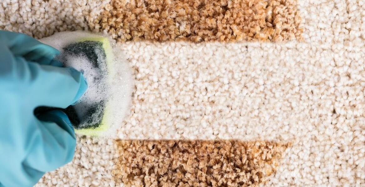 Jakie cechy powinien mieć idealny dywan dla alergików?